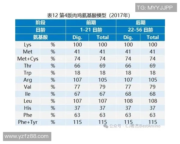 足球五号球的尺寸与标准介绍以及适用年龄段分析 足球五号球的尺寸与标准介绍以及适用年龄段分析